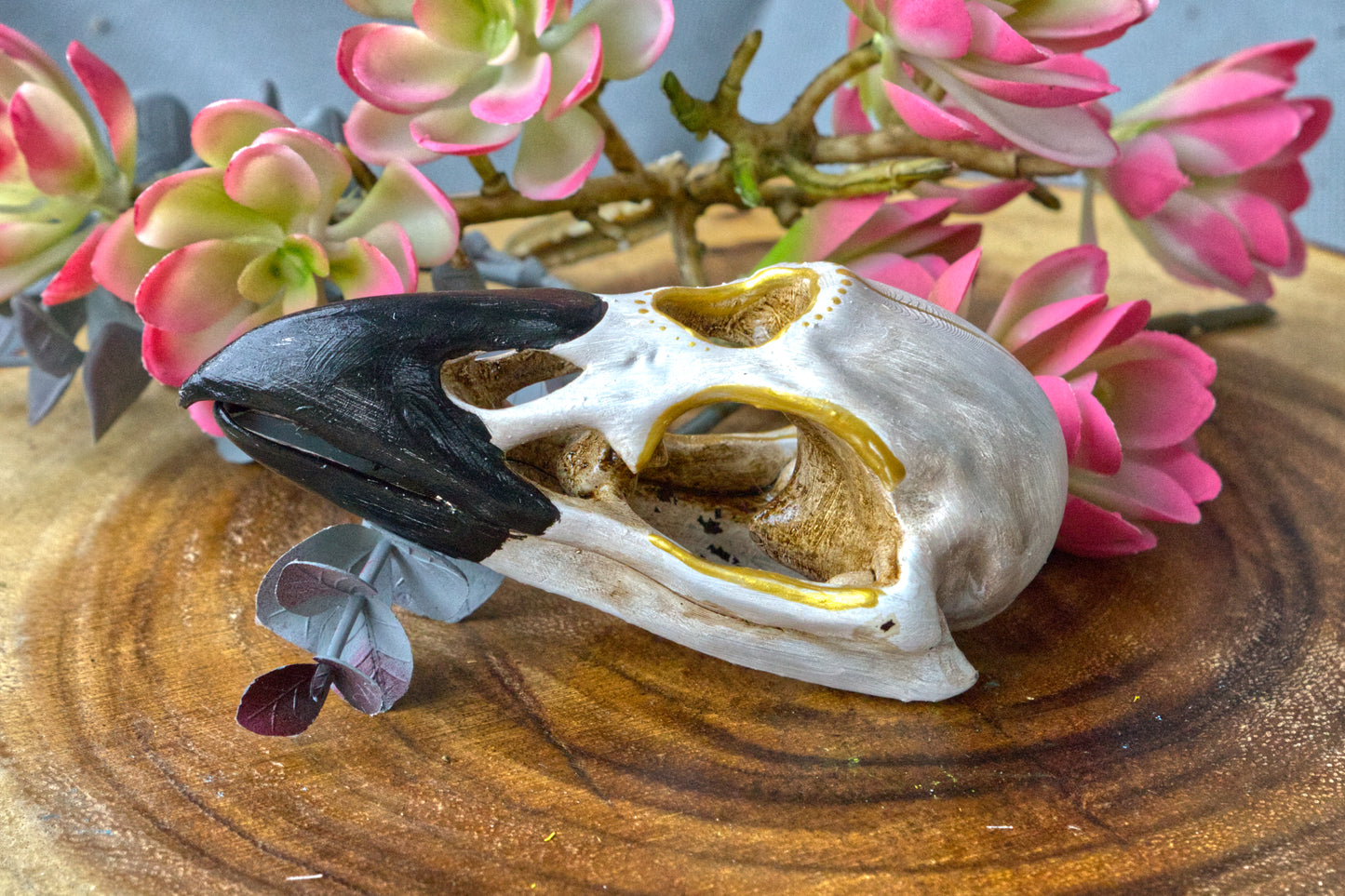 Three Eyed Raven Skull
