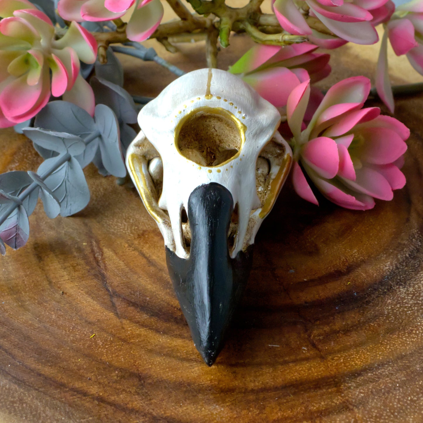 Three Eyed Raven Skull