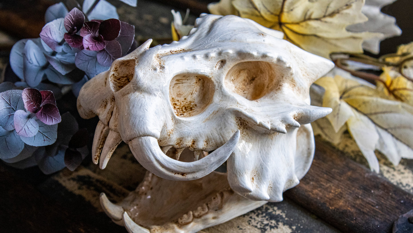 Berserker Dragon Skull - Large