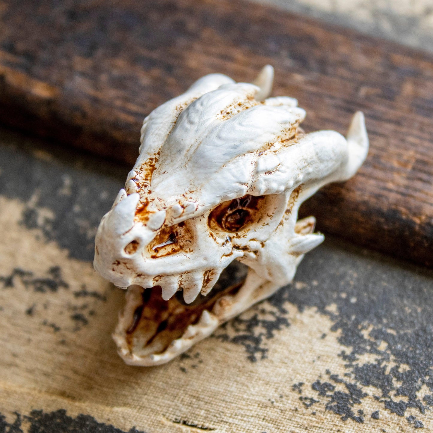 Elder Dragon Skull - Small - Humble Dragon Dice