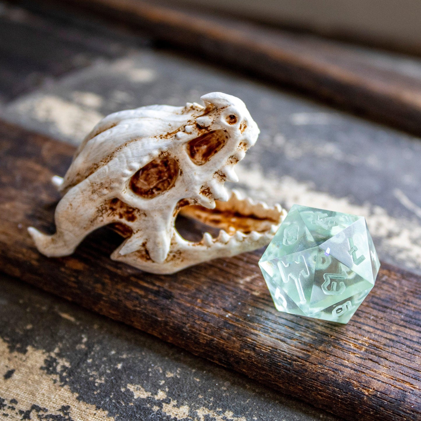 Elder Dragon Skull - Small - Humble Dragon Dice