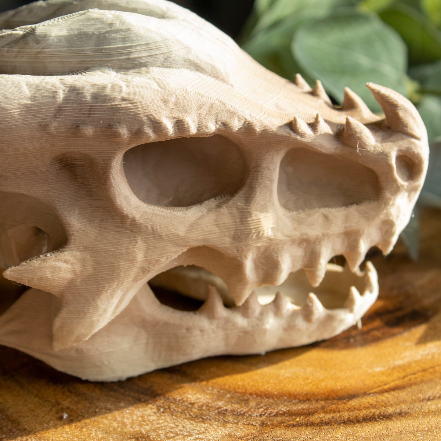 Elder Dragon Skull - Large Articulating