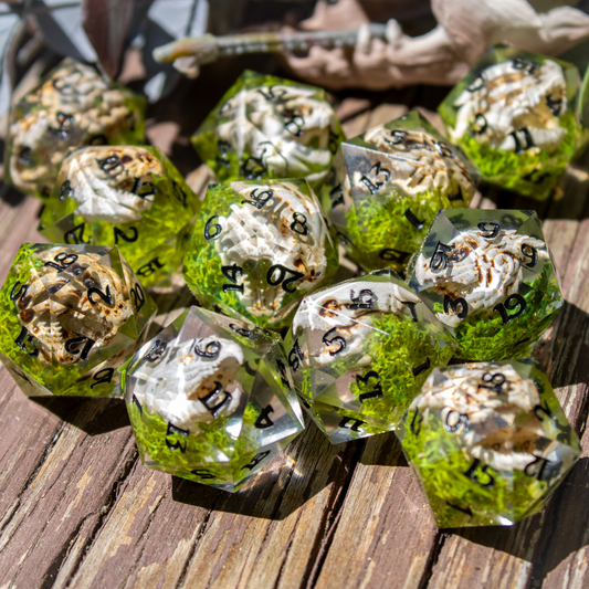 Dragon Skull Single D20