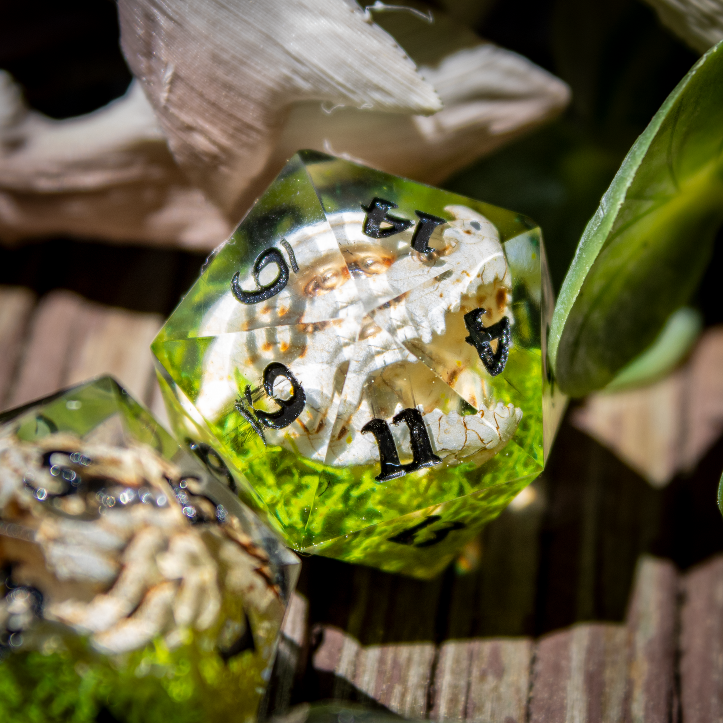 Dragon Skull Single D20