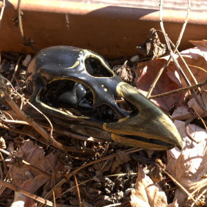 Three Eyed Raven Skull