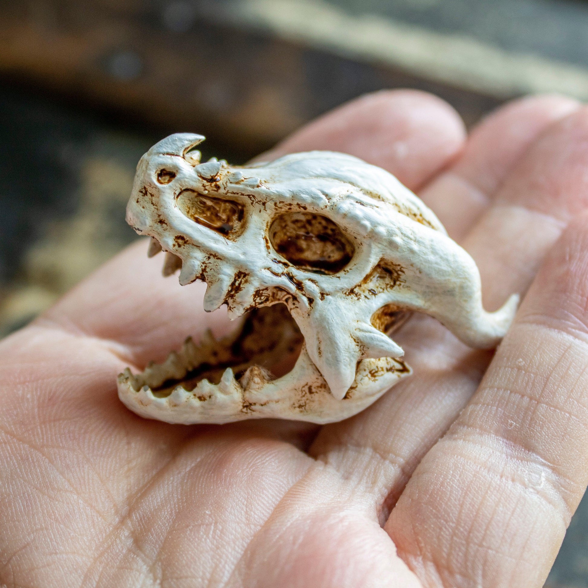 Elder Dragon Skull - Small - Humble Dragon Dice