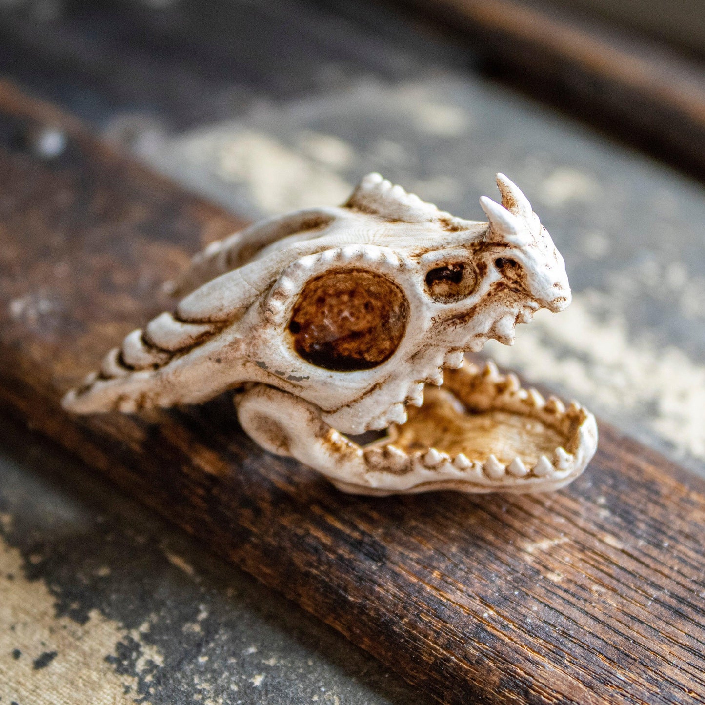 Fire Dragon Skull - Small - Humble Dragon Dice