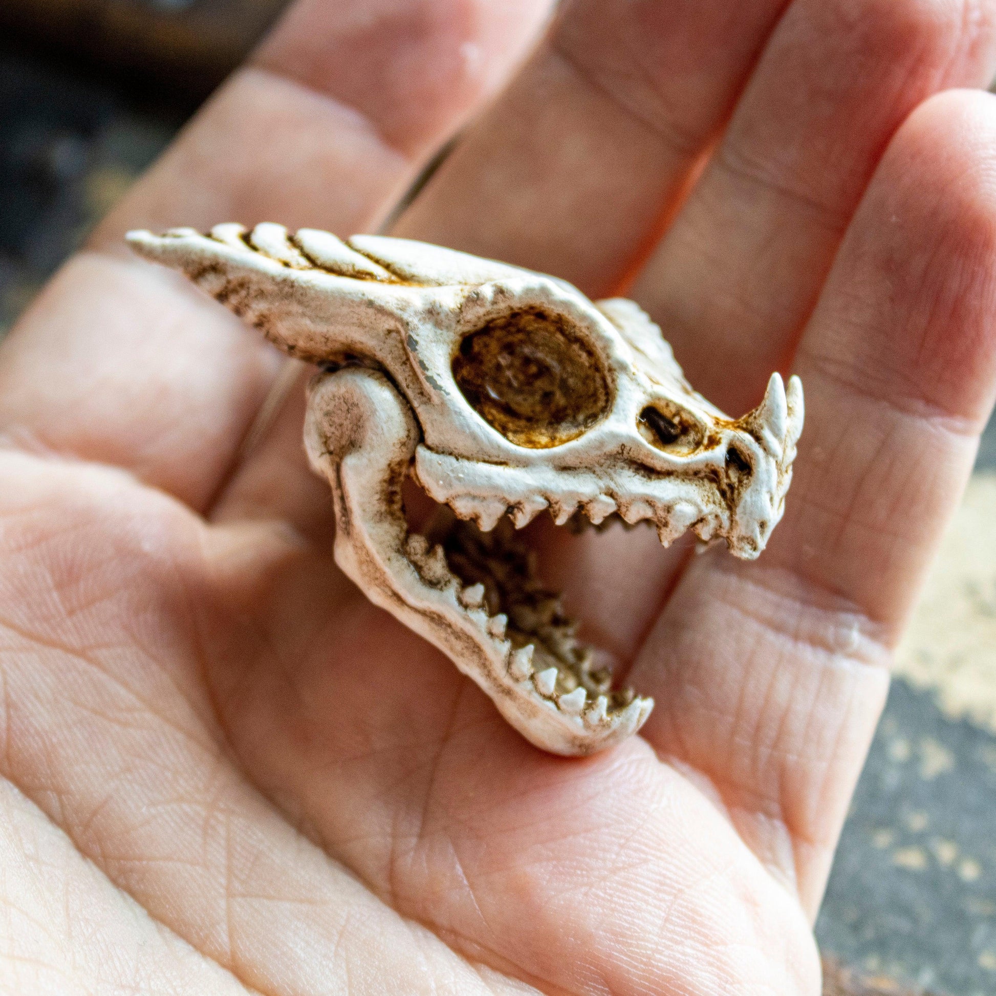 Fire Dragon Skull - Small - Humble Dragon Dice