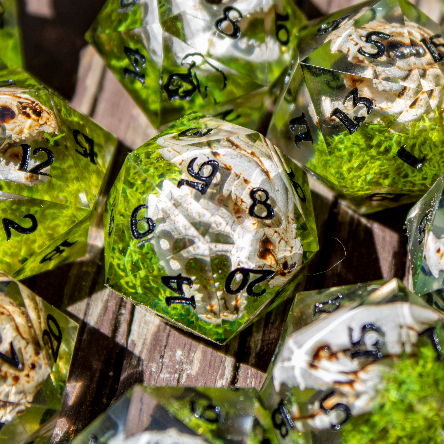 Dragon Skull Single D20