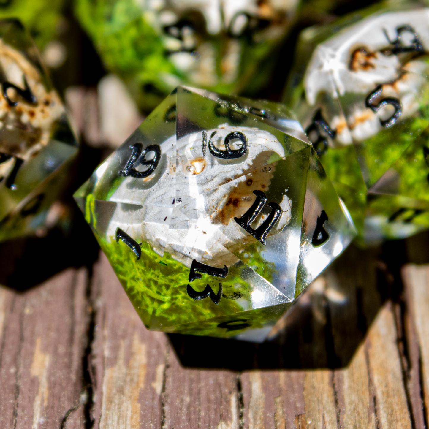 Dragon Skull Single D20
