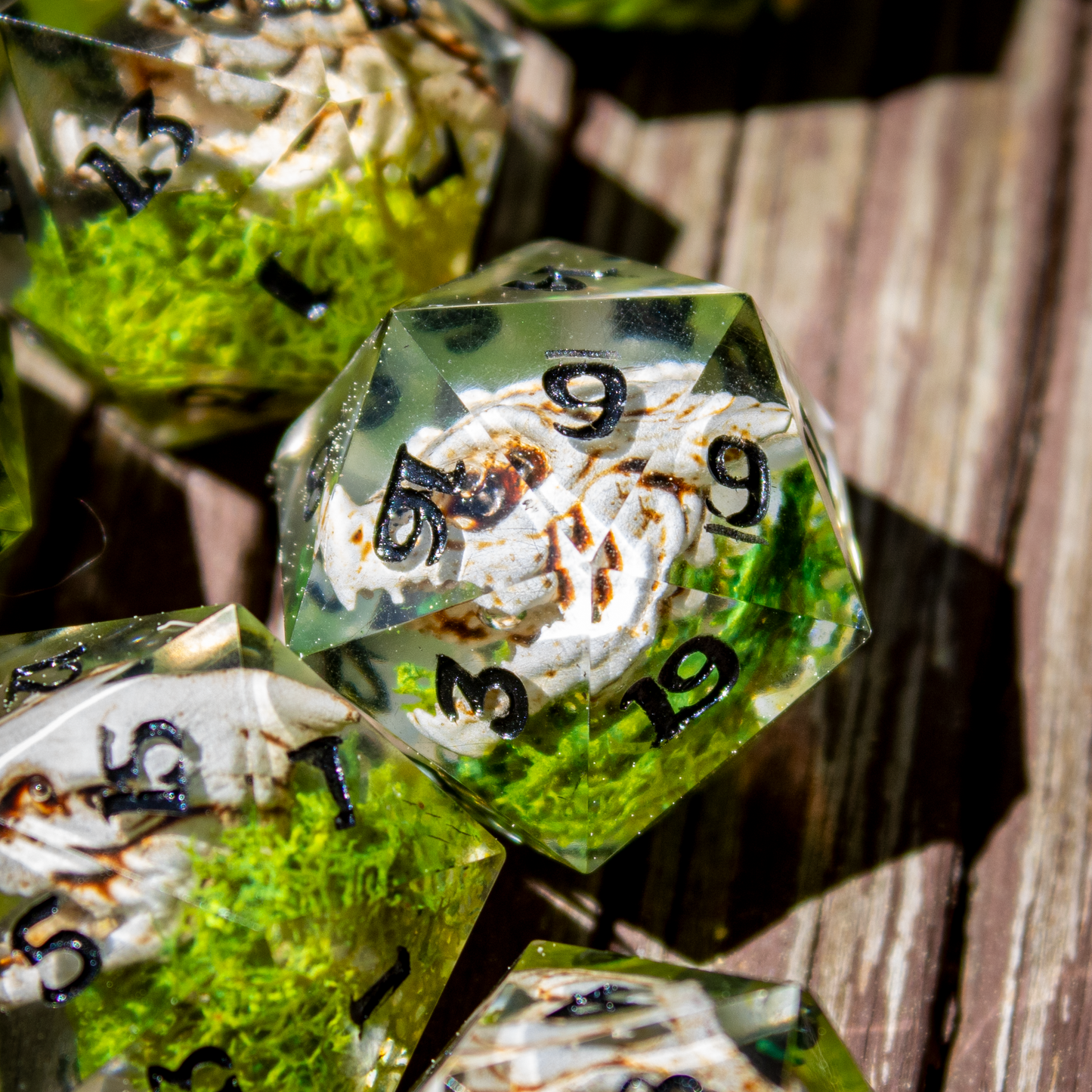 Dragon Skull Single D20