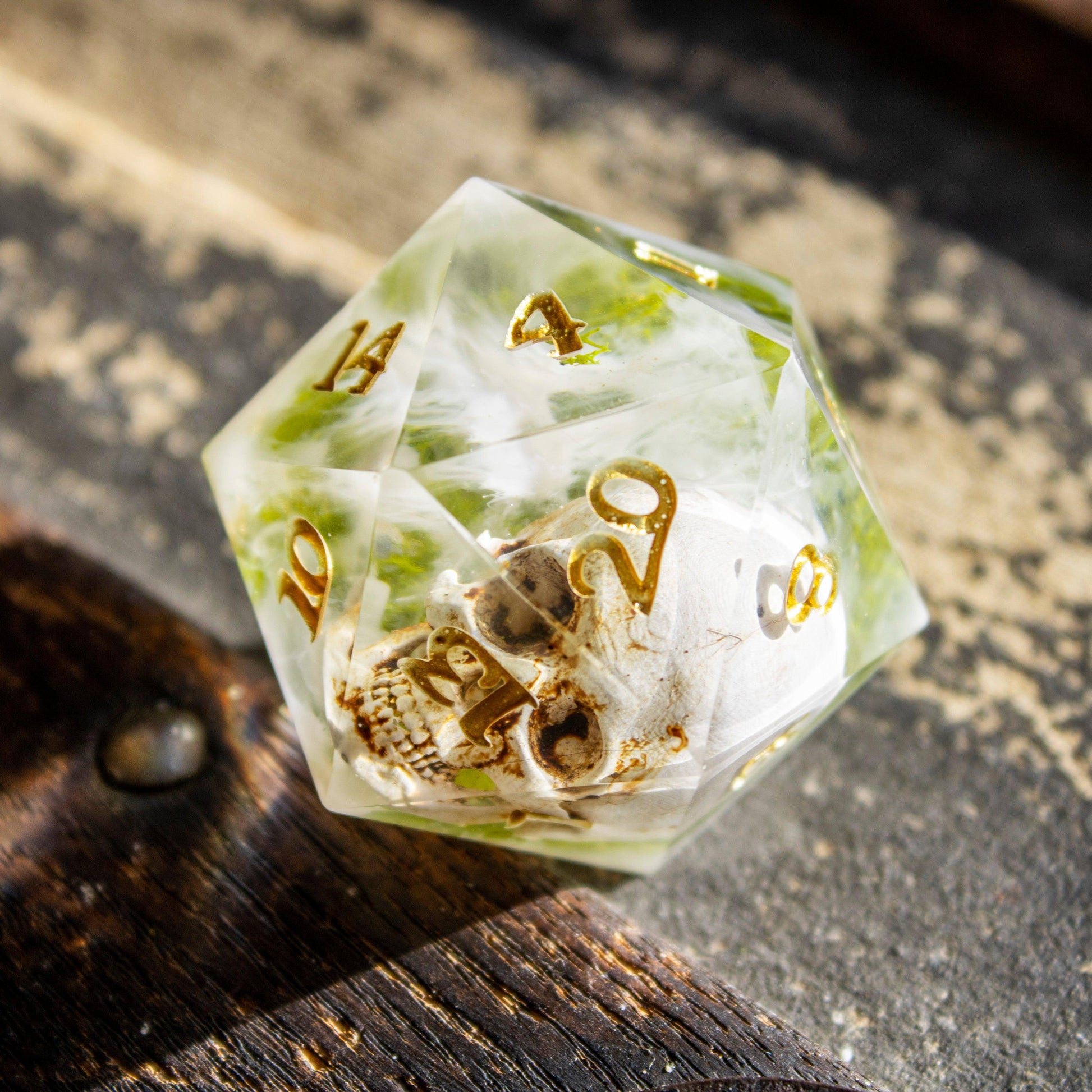 The Honored Grave - Humble Dragon Dice
