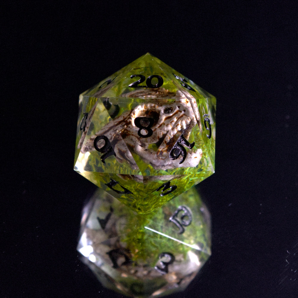Dragon Skull Single D20