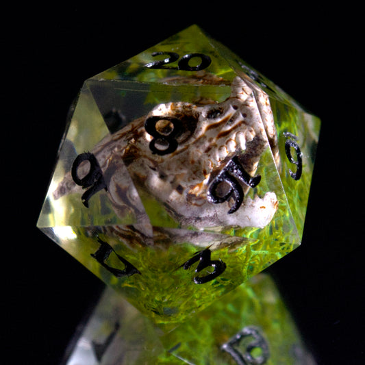 Dragon Skull Single D20