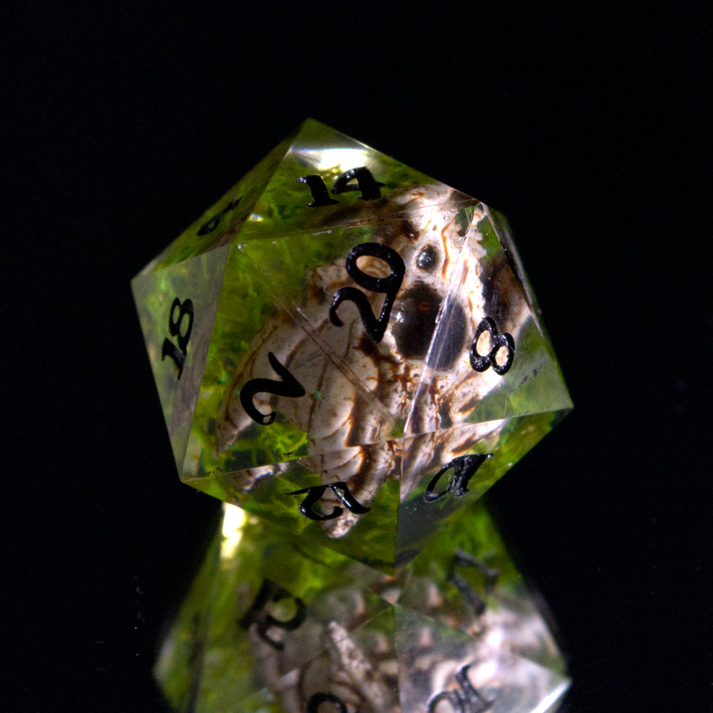 Dragon Skull Single D20