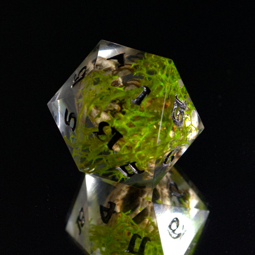 Dragon Skull Single D20