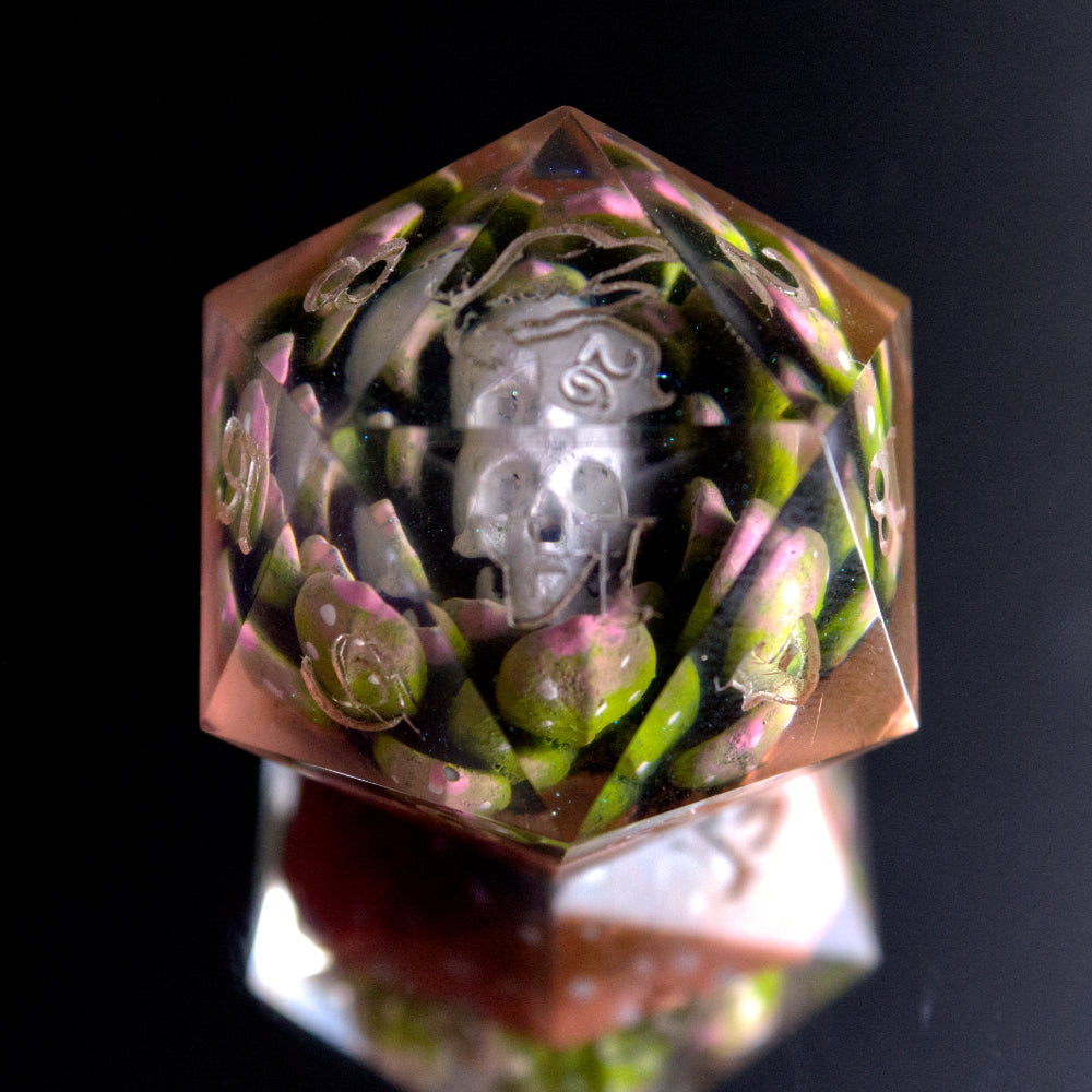 Skull Succulents