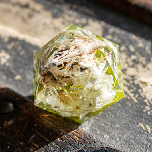Dragon of White Flowers - Humble Dragon Dice