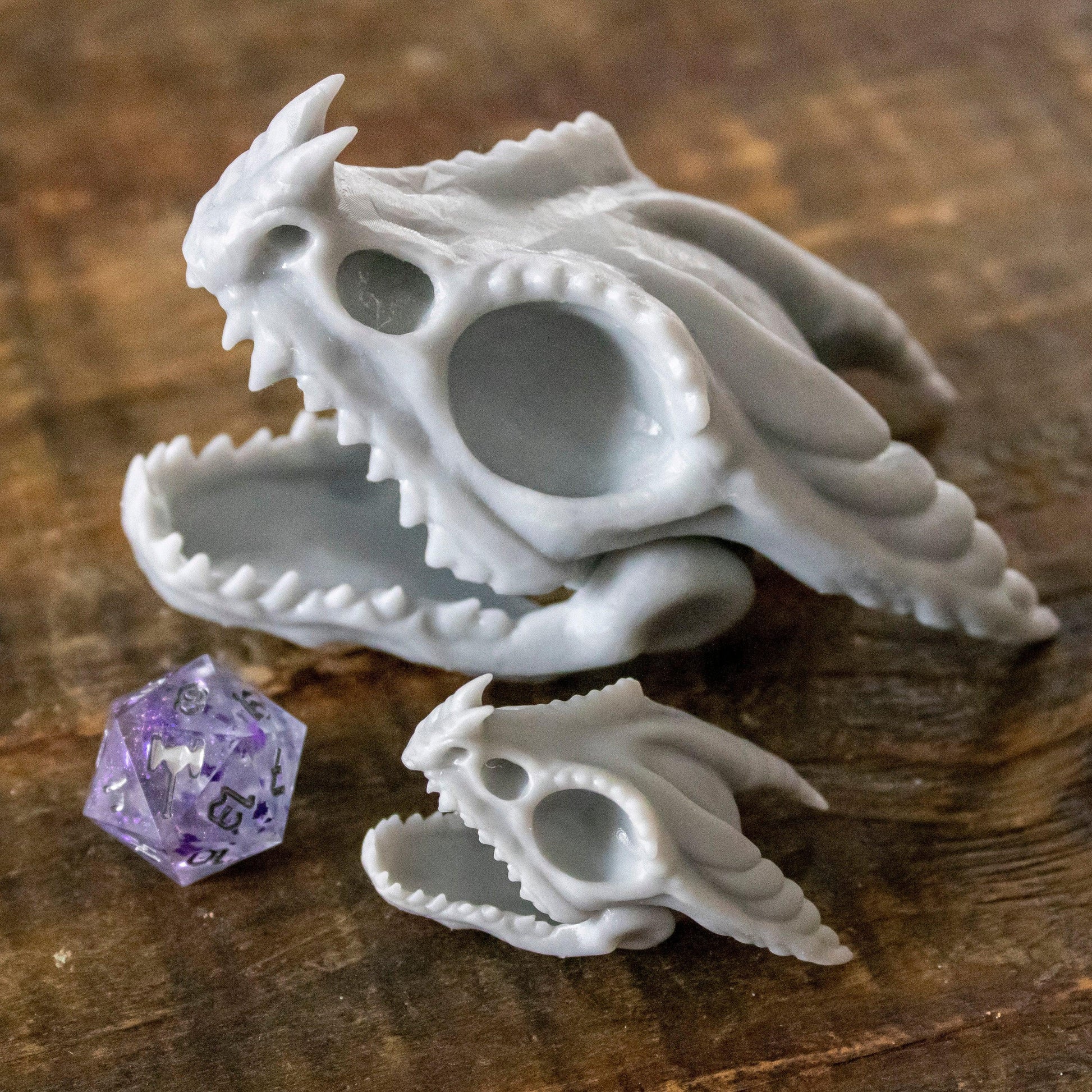 Fire Dragon Skull - Humble Dragon Dice