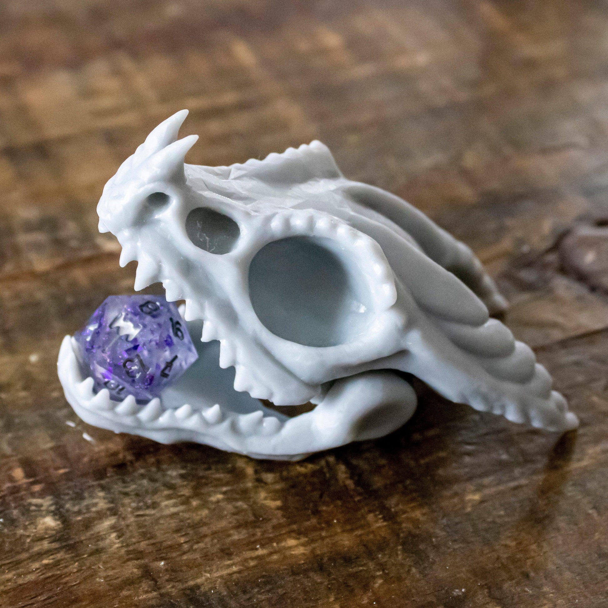 Fire Dragon Skull - Humble Dragon Dice