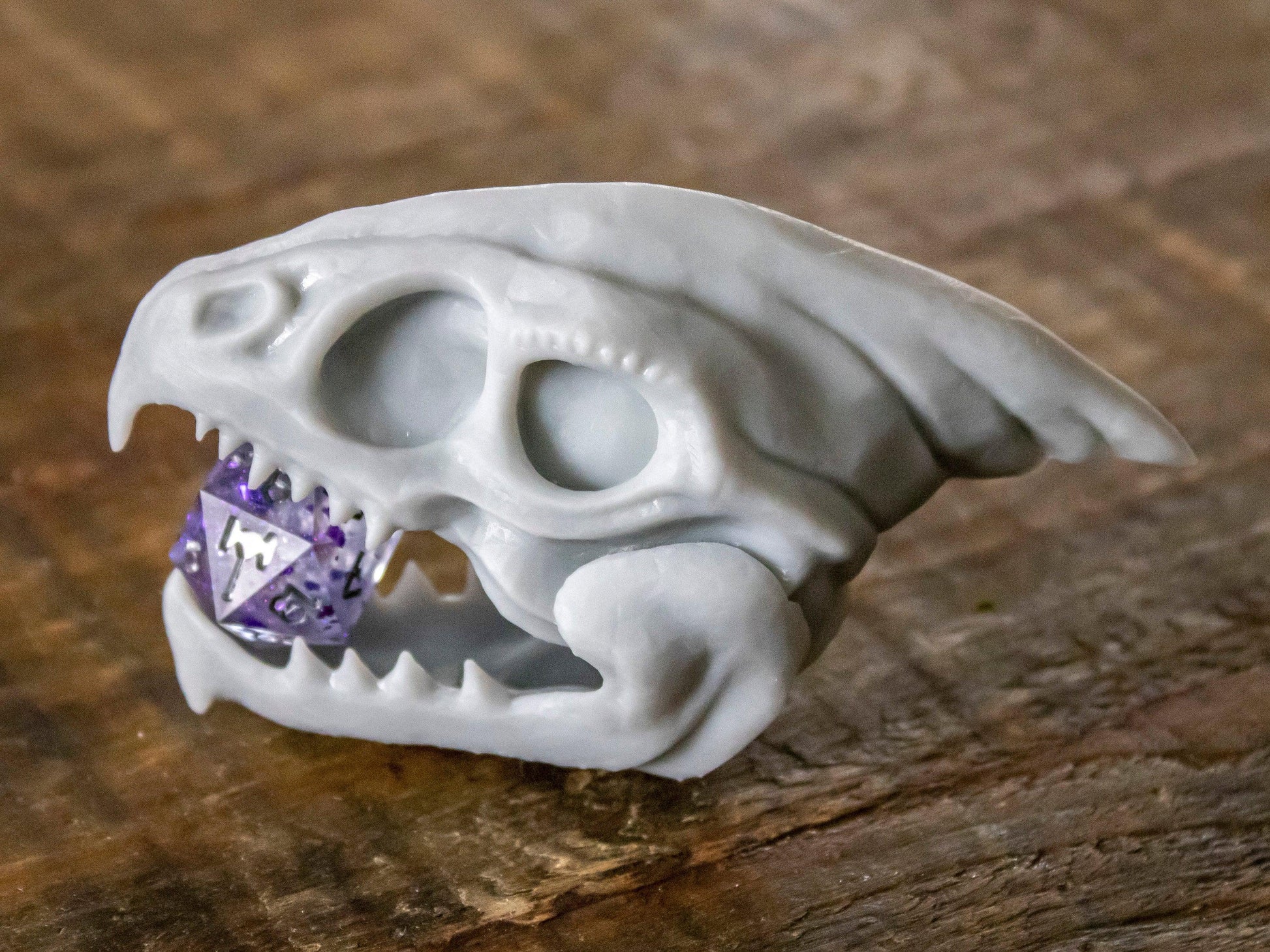 Ice Dragon Skull - Humble Dragon Dice